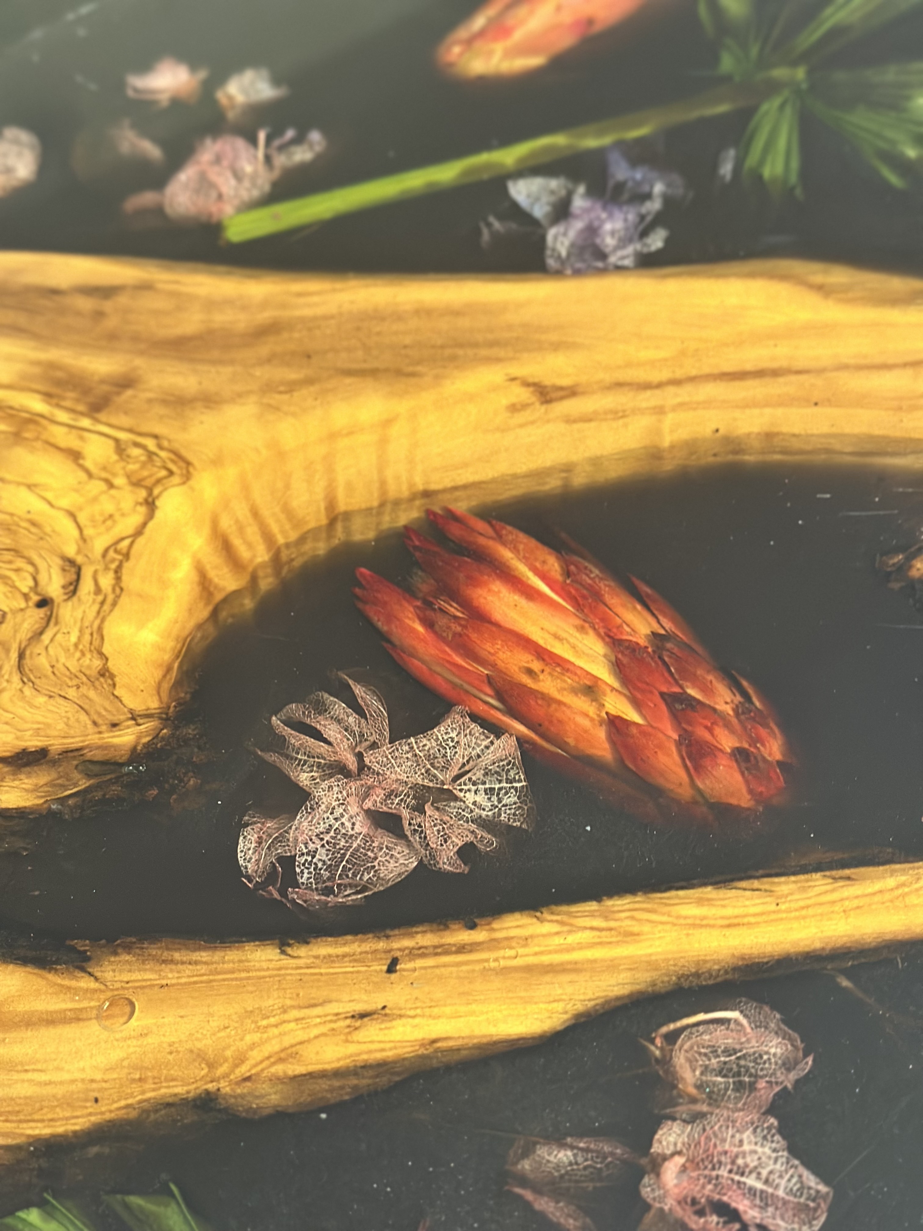 Ako si vybrať správnu epoxidovú živicu a čo začiatočníci často netušia